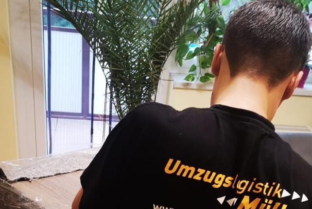 Laborumzug Rosenbach stressfrei umziehen 